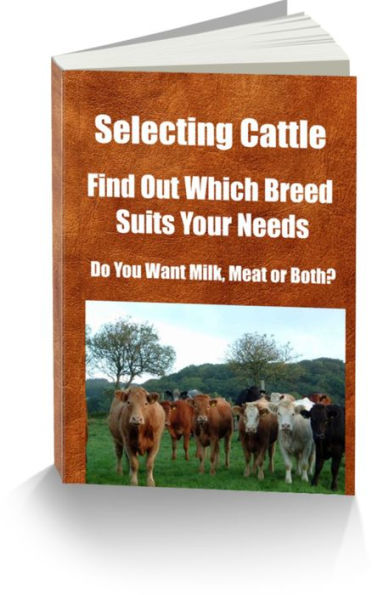 Selecting Cattle Find Out Which Breed Suits Your Needs Do You Want Milk, Meat or Both?