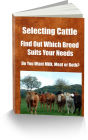 Selecting Cattle Find Out Which Breed Suits Your Needs Do You Want Milk, Meat or Both?