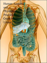 Title: Human Anatomy and Physiology Practice Questions: Urinary System, Author: Dr. Evelyn J. Biluk