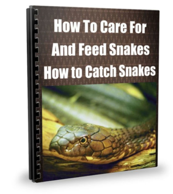How To Care For And Feed Snakes How to Catch Snakes by David Greene