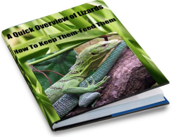 A Quick Overview of Lizards-How To Keep Them-Feed Them