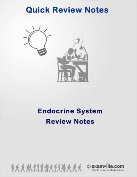 Endocrine System Quick Review Notes