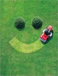 Title: Ideas And Tips For Growing That Perfect, Beautiful Lawn, Author: Robert Greenjeans
