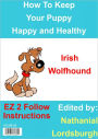 How To Keep Your Irish Wolfhound Happy and Healthy