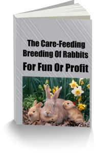 Title: The Care-Feeding-Breeding Of Rabbits-For Fun Or Profit, Author: Sandy Hall