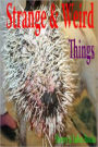 Strange and Weird Things