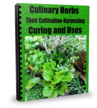 CULINARY HERBS Their Cultivation, Harvesting, Curing and Uses