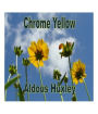 Chrome Yellow
