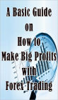 A Basic Guide on How to Make Big Profits with Forex Trading
