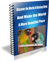 Title: Discover The World of Raising Birds-And Make The World A More Beautiful Place, Author: Sandy Hall