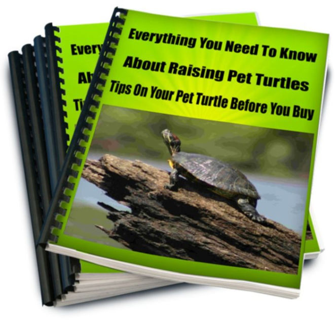 Everything You Need To Know About Raising Pet Turtles Tips On Your Pet Turtle Before You Buy by