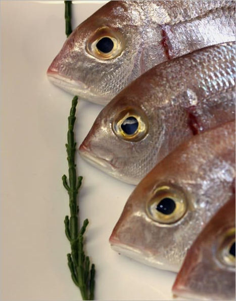 Aquarium Care : Beginner's Guide in How to Setup and Maintain Aquarium