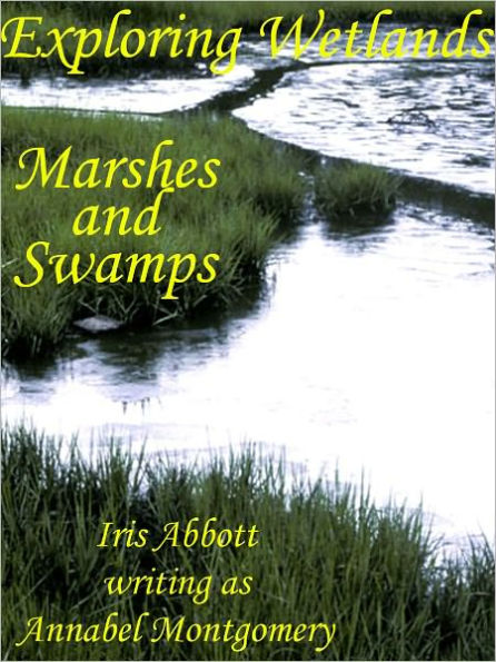 Exploring Wetlands: Marshes and Swamps