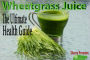Wheatgrass Juice: The Ultimate Health Guide