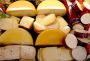 Outlines of Dairy Bacteriology (Illustrated)