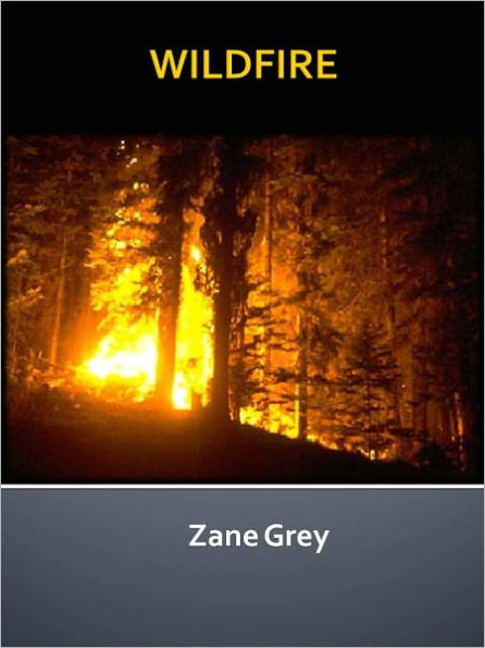 WILDFIRE w/ Direct link technology (A Classic western novel)