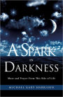A Spark in Darkness