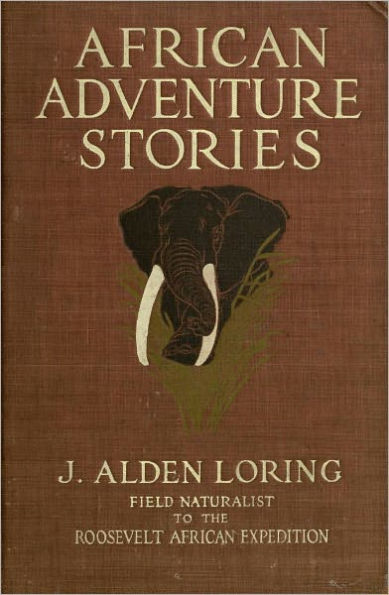 AFRICAN ADVENTURE STORIES
