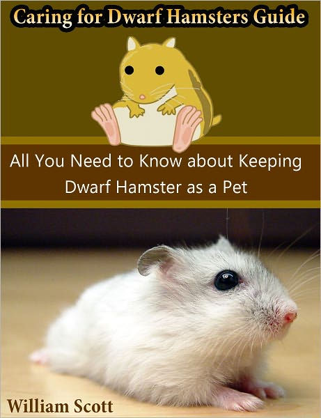 How to Care for a Pet Campbell's Dwarf Hamster