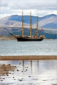 The Danish History, Books I-IX (Illustrated)