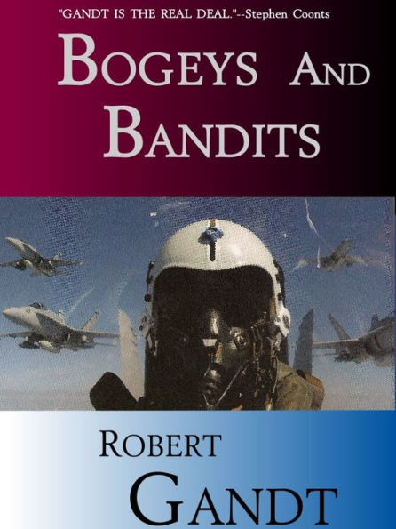 Bogeys and Bandits: The Making of a Fighter Pilot