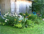 The True Art of Designing Your Garden that Will Awe Everyone
