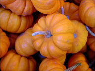 Ideas for Halloween Recipes for Kids