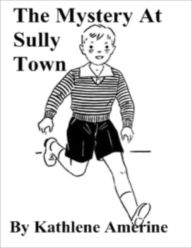 The Mystery at Sully Town