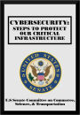 Cybersecurity: Steps to Protect Our Critical Infrastructure