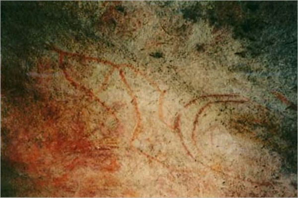 Spinifex and Sand (Illustrated)