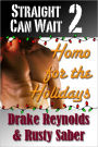 Straight Can Wait 2: Homo for the Holidays
