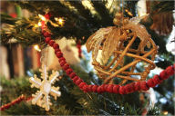 Escaping Holiday Disaster Parents Guide