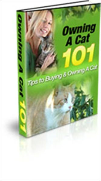 Owning A Cat 101 - Tips To Buying & Owning A Cat