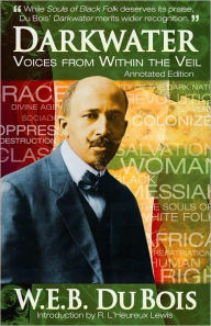 du bois essays du bois essays