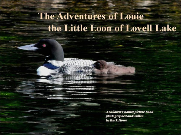 The Adventure of Louie The Little Loon Of Lovell Lake