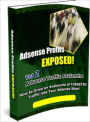 Adsense Profits Exposed! Volume #2
