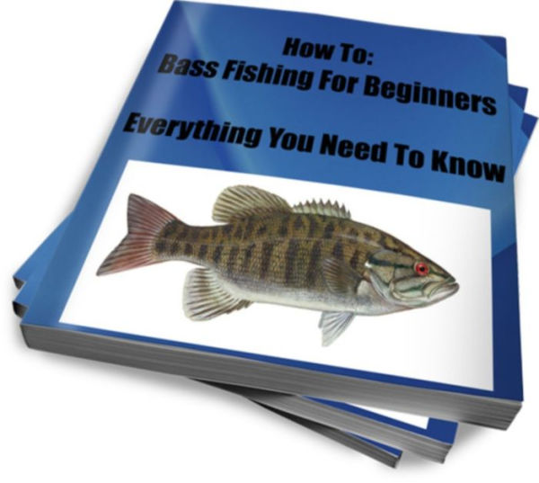 Bass Fishing For Beginners.. Everything You Need To Know..