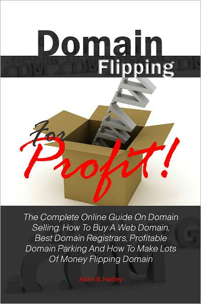 Domain Flipping 101How I turned ~$100 into $15k - by Jasmine - Medium