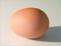 How to Cook Egg: The Easy to Make Professional Recipes