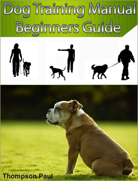 Guide dog best sale training manual