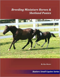 Breeding Miniature Horses & Shetland Ponies
