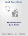 Neuroscience 101 Quick Review