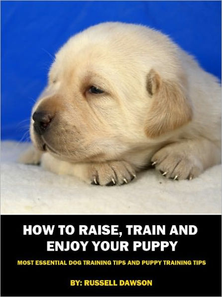 How To Raise, Train and Enjoy Your Puppy: Most Essential Dog Training Tips and Puppy Training Tips