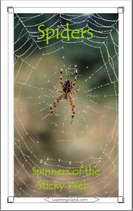 Title: Spiders: Spinners of the Sticky Web, Author: Caitlind Alexander