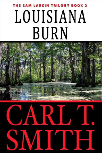 Louisiana Burn: The Sam Larkin Trilogy Book 2