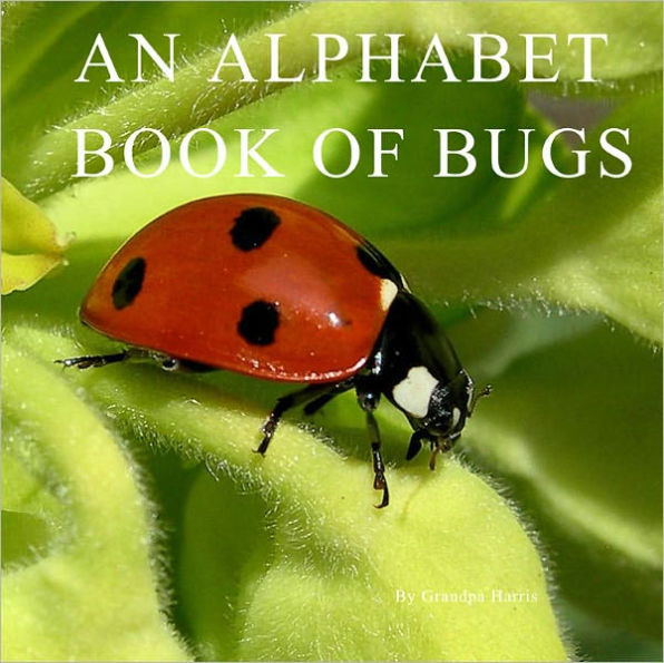 An Alphabet Book Of Bugs
