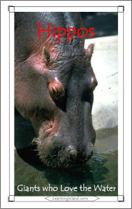 Title: Hippos: Giants Who Love the Water, Author: Caitlind Alexander