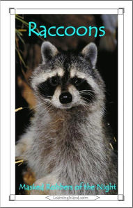 Raccoons: Masked Robbers of the Night