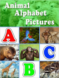 Title: Animal Alphabet Pictures ABC, Author: Seven Treasures Publications