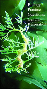 Title: Biology Practice Questions: Cellular Respiration, Author: Dr. Evelyn J. Biluk